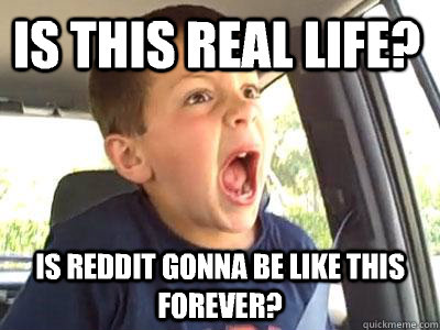 Is this real life? Is Reddit gonna be like this forever?  