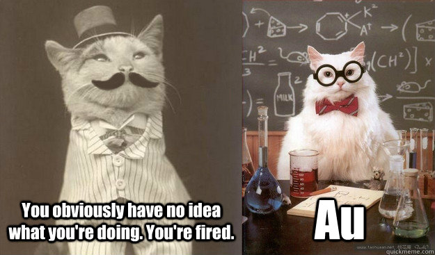You obviously have no idea what you're doing. You're fired. Au - You obviously have no idea what you're doing. You're fired. Au  Original Business Cat Chemist Cat