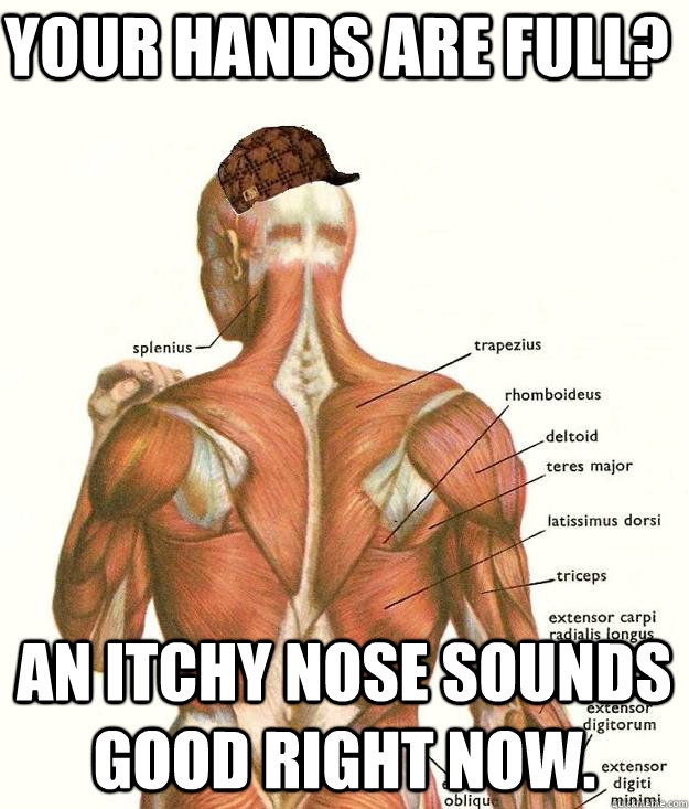 Your hands are full? An itchy nose sounds good right now. - Your hands are full? An itchy nose sounds good right now.  Scumbag body