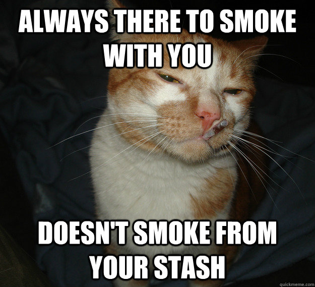 always there to smoke with you doesn't smoke from your stash  Cool Cat Craig