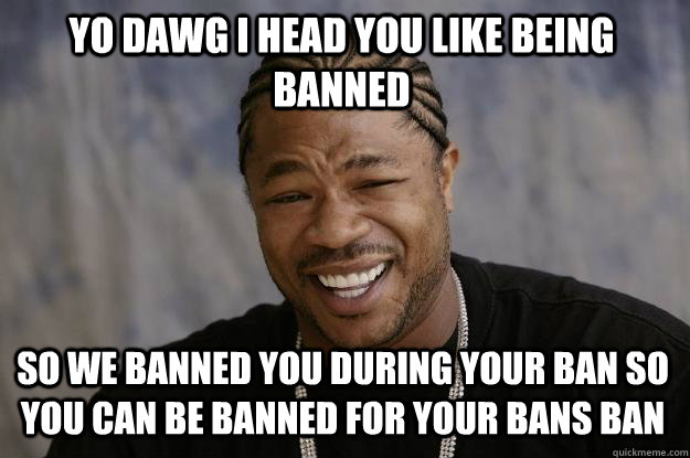 Yo dawg I head you like being banned so we banned you during your ban so you can be banned for your bans ban  Xzibit meme