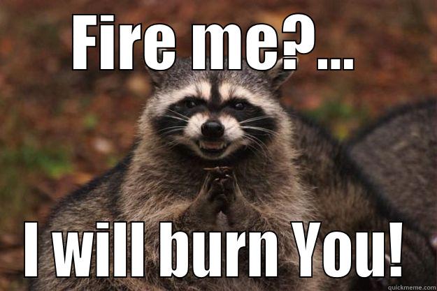 FIRE ME?... I WILL BURN YOU! Evil Plotting Raccoon
