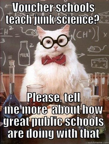 VOUCHER SCHOOLS TEACH JUNK SCIENCE?  PLEASE, TELL ME MORE  ABOUT HOW GREAT PUBLIC SCHOOLS ARE DOING WITH THAT Chemistry Cat