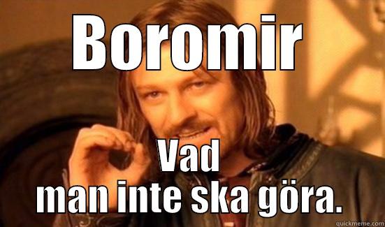 BOROMIR VAD MAN INTE SKA GÖRA. Boromir