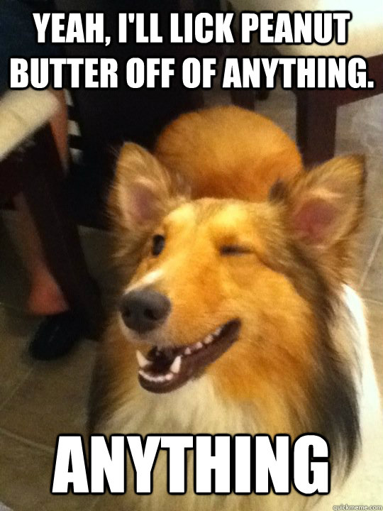 Yeah, I'll lick peanut butter off of anything. anything  implying dog