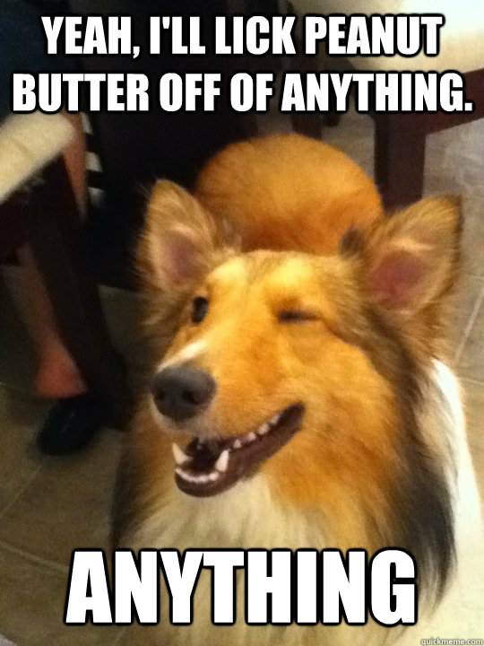 Yeah, I'll lick peanut butter off of anything. anything - Yeah, I'll lick peanut butter off of anything. anything  implying dog