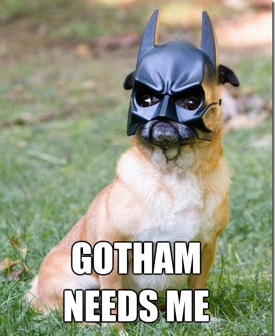 gotham needs me  