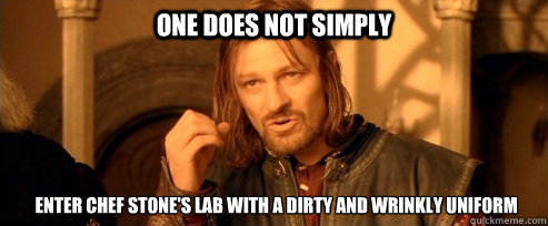 One does not simply Enter Chef Stone's lab with a dirty and Wrinkly Uniform  One Does Not Simply