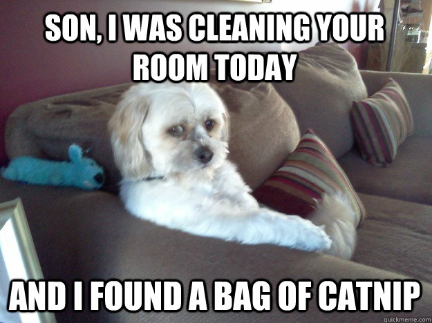 Son, I was cleaning your room today And I found a bag of catnip - Son, I was cleaning your room today And I found a bag of catnip  Disappointed Doggy