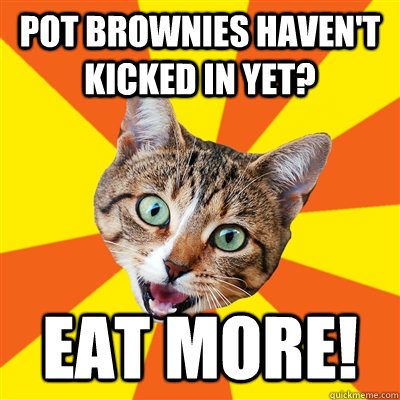 Pot brownies haven't kicked in yet? Eat more!  Bad Advice Cat