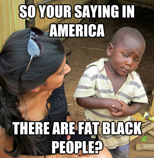 SO your saying in America there are fat black people? - SO your saying in America there are fat black people?  Misc