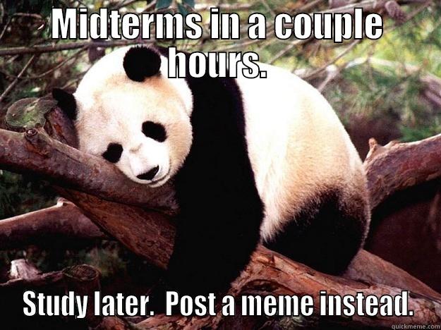 MIDTERMS IN A COUPLE HOURS. STUDY LATER.  POST A MEME INSTEAD. Procrastination Panda