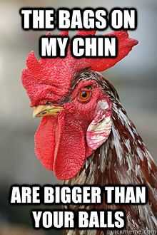 the bags on my chin are bigger than your balls - the bags on my chin are bigger than your balls  Offended Rooster