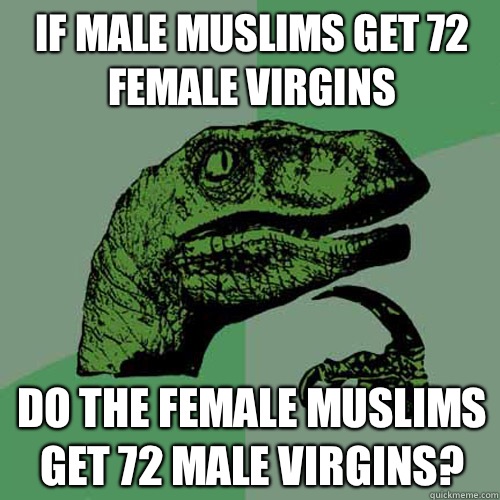 If male Muslims get 72 female virgins  Do the female Muslims get 72 male virgins? - If male Muslims get 72 female virgins  Do the female Muslims get 72 male virgins?  Philosoraptor