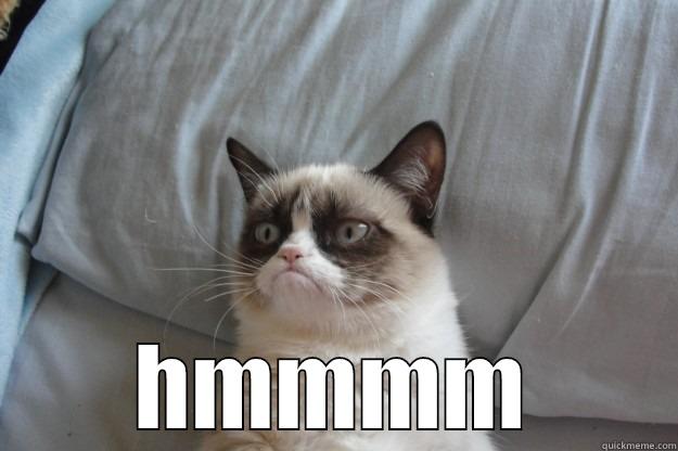  HMMMM Grumpy Cat