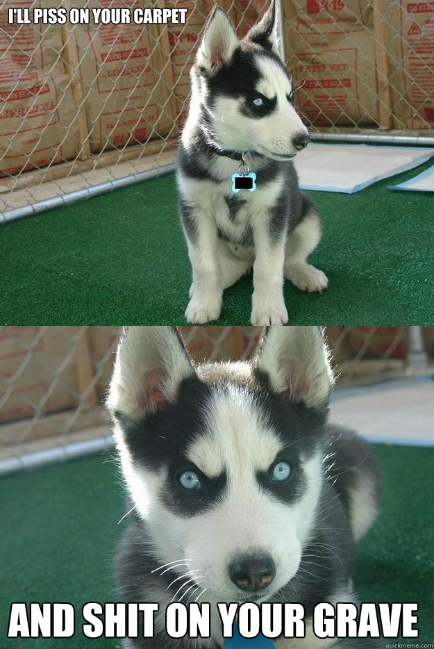 I'll piss on your carpet and shit on your grave  Insanity puppy