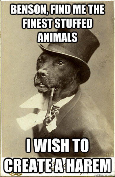 benson, find me the finest stuffed animals i wish to create a harem - benson, find me the finest stuffed animals i wish to create a harem  Old Money Dog