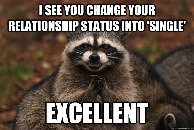 I see you change your relationship status into 'single' EXCELLENT   Evil Plotting Raccoon