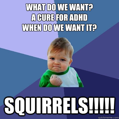 What Do We want?
a cure for adhd
when do we want it? Squirrels!!!!! - What Do We want?
a cure for adhd
when do we want it? Squirrels!!!!!  Success Kid