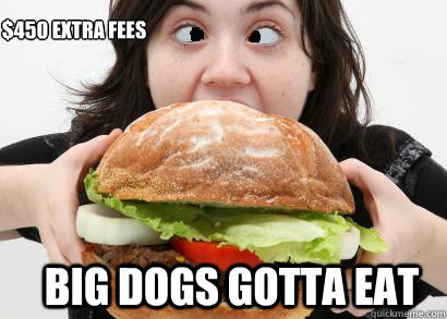 $450 extra fees big dogs gotta eat  