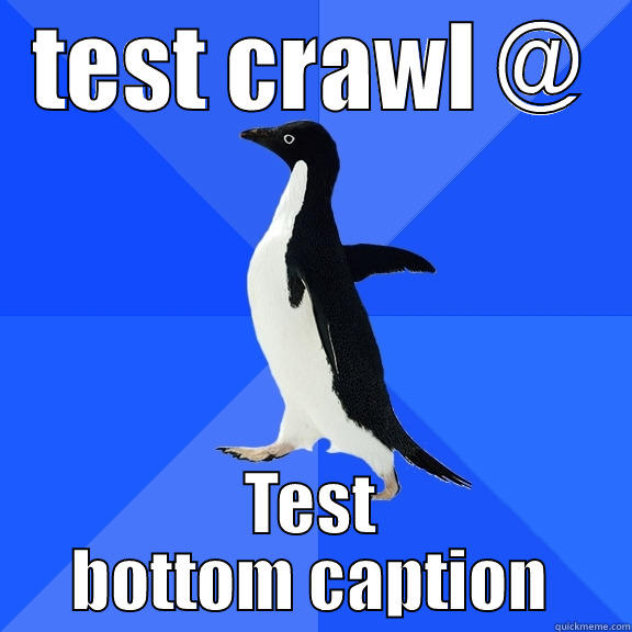 TEST CRAWL @ TEST BOTTOM CAPTION Socially Awkward Penguin
