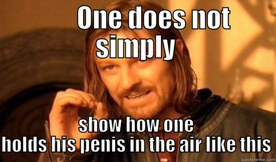        ONE DOES NOT SIMPLY SHOW HOW ONE HOLDS HIS PENIS IN THE AIR LIKE THIS Boromir
