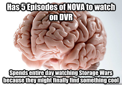 Has 5 Episodes of NOVA to watch on DVR Spends entire day watching Storage Wars because they might finally find something cool   Scumbag Brain