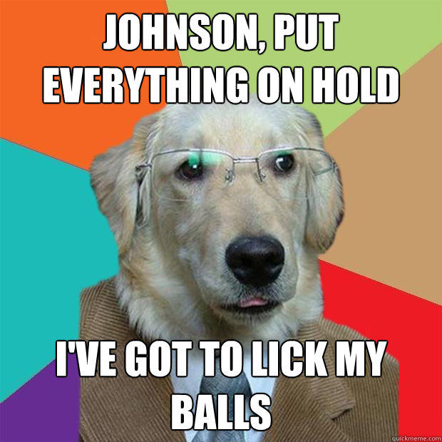 JOHNSON, PUT EVERYTHING ON HOLD  I'VE GOT TO LICK MY BALLS  Business Dog