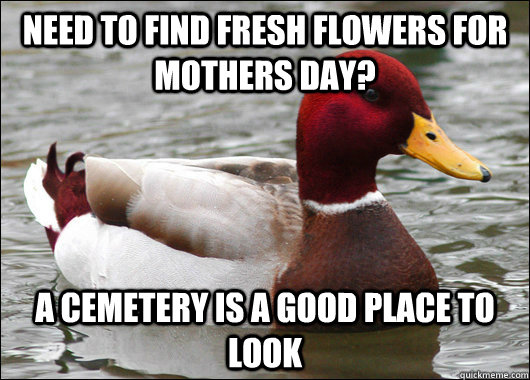 Need to find fresh flowers for mothers day? A cemetery is a good place to look  Malicious Advice Mallard