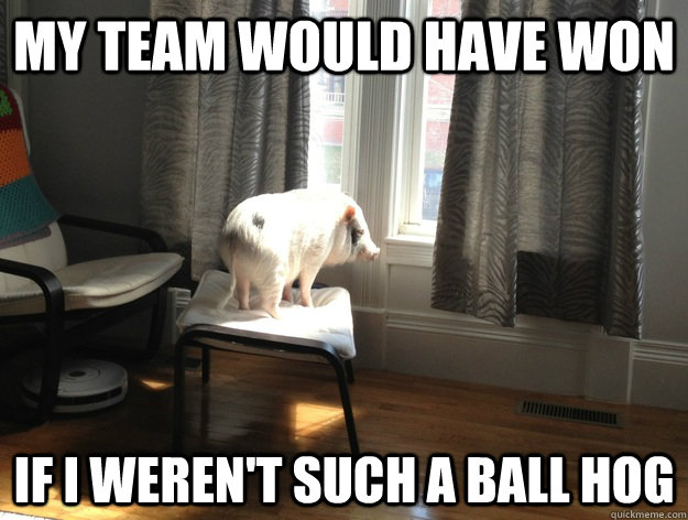 My team would have won If I weren't such a ball hog - My team would have won If I weren't such a ball hog  Regret Pig