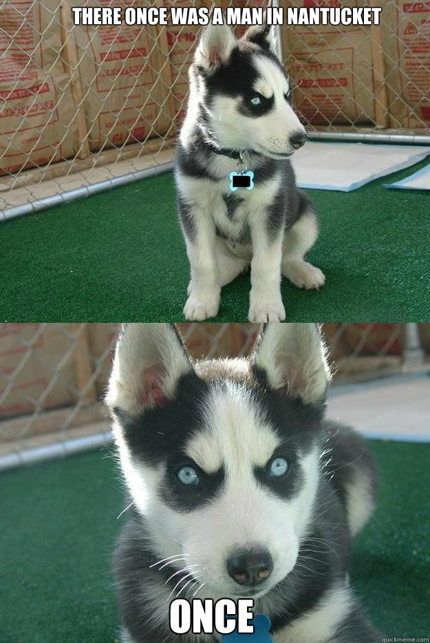 There once was a man in Nantucket once  Insanity puppy