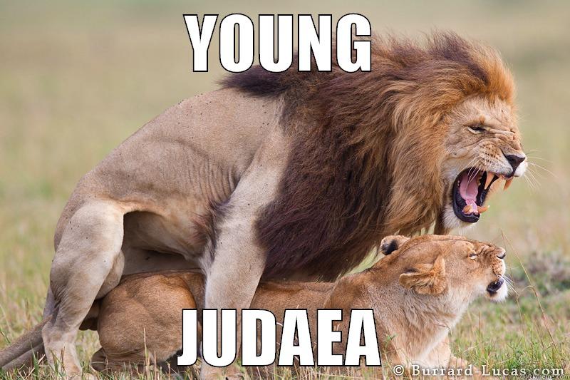 YOUNG JUDAEA Misc