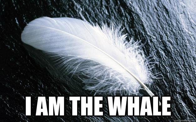  I am the whale  