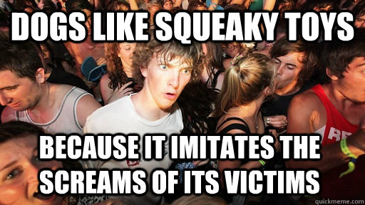 dogs like squeaky toys because it imitates the screams of its victims  Sudden Clarity Clarence