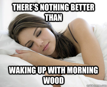 there's nothing better than waking up with morning wood  Sleep Meme