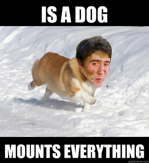 IS A DOG MOUNTS EVERYTHING - IS A DOG MOUNTS EVERYTHING  Boydog