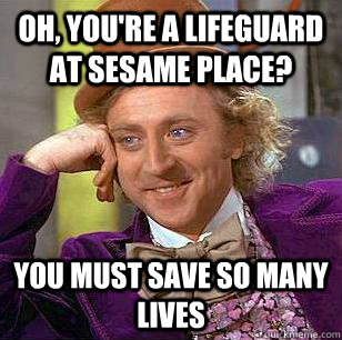 Oh, You're a lifeguard at Sesame Place? You must save so many lives  Condescending Wonka