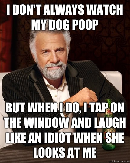 I don't always watch my dog poop but when I do, I tap on the window and laugh like an idiot when she looks at me  The Most Interesting Man In The World