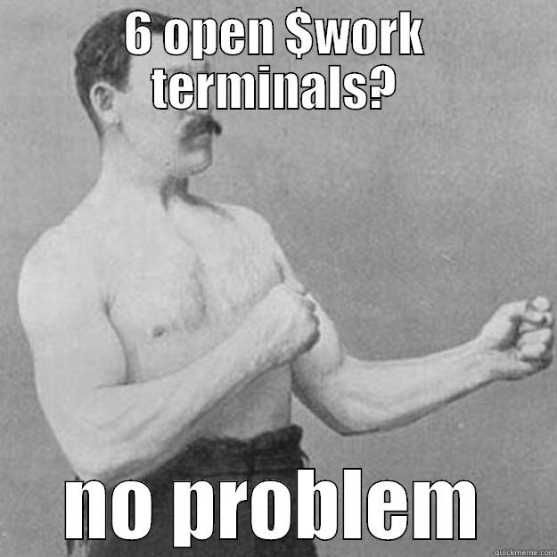 6 OPEN $WORK TERMINALS? NO PROBLEM overly manly man