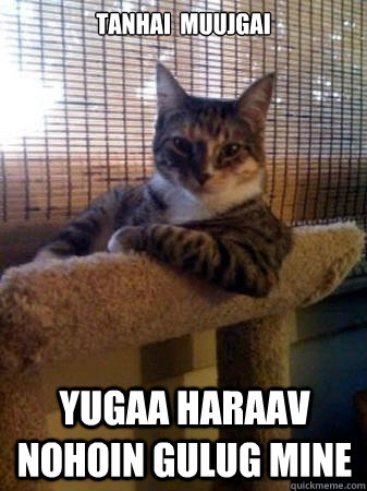 tanhai  muujgai yugaa haraav nohoin gulug mine  The Most Interesting Cat in the World