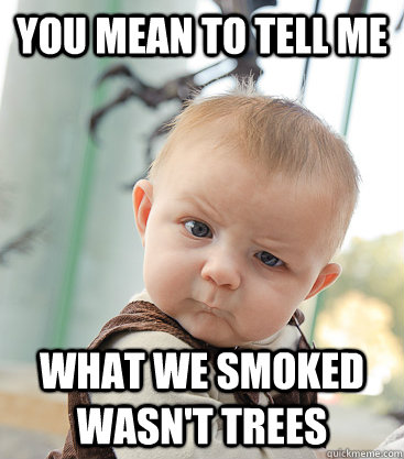 you mean to tell me What we smoked wasn't trees  skeptical baby