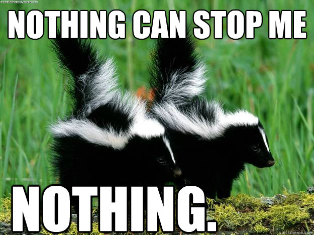 Nothing can stop me NOTHiNG.  skunk meme