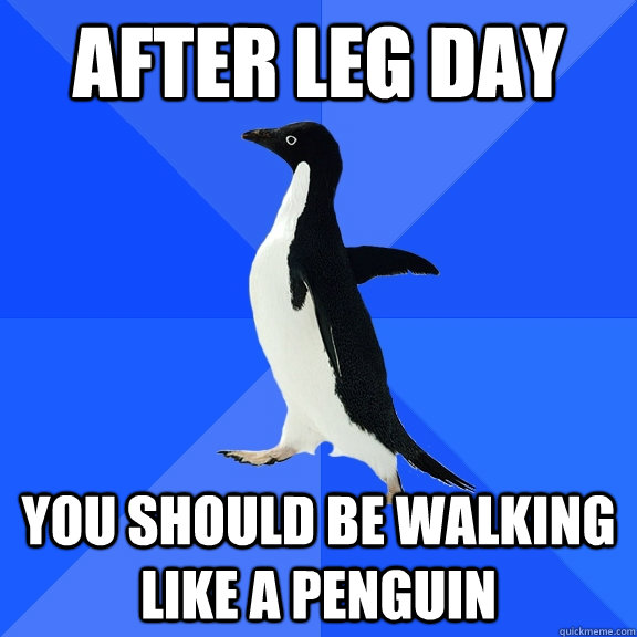 after leg day you should be walking like a penguin  Socially Awkward Penguin