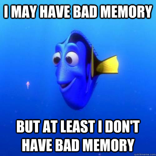 i may have bad memory but at least i don't have bad memory  dory