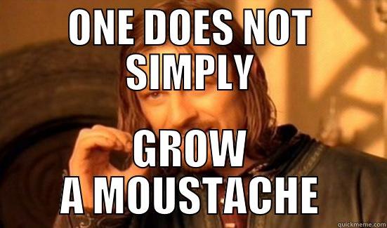 ONE DOES NOT SIMPLY GROW A MOUSTACHE Boromir