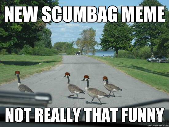 New Scumbag meme not really that funny  Scumbag Geese