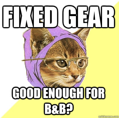 fixed gear good enough for B&B?  Hipster Kitty