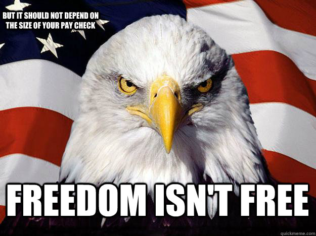 Freedom Isn't Free But it should not depend on the size of your pay check  Patriotic Eagle