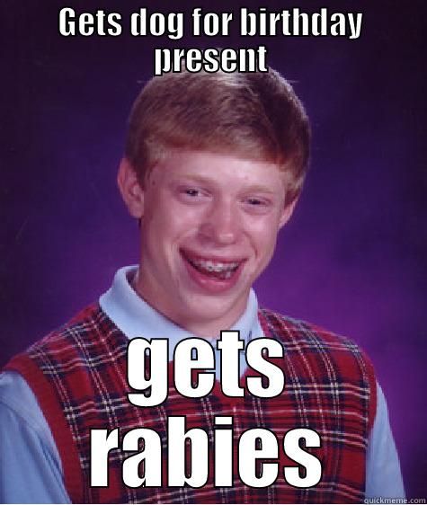 GETS DOG FOR BIRTHDAY PRESENT GETS RABIES Bad Luck Brian