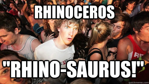 Rhinoceros 